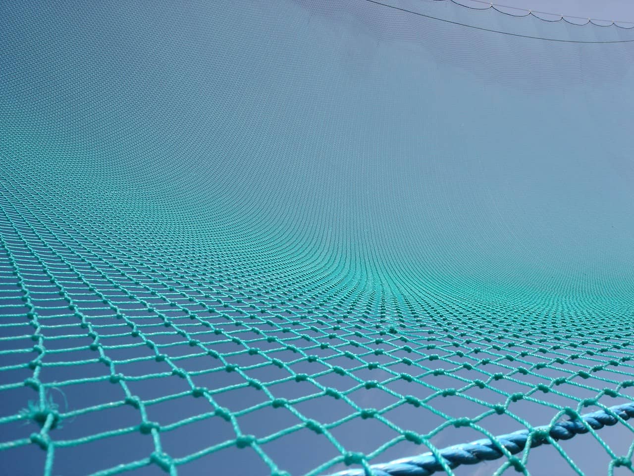 Close up of Ball Stop Net